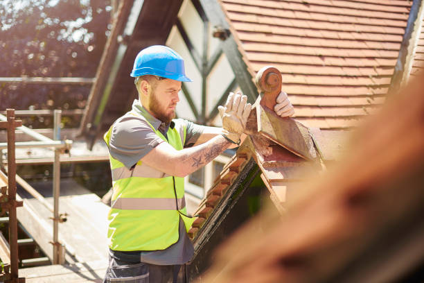 Best Roof Gutter Cleaning  in Columbia City, IN